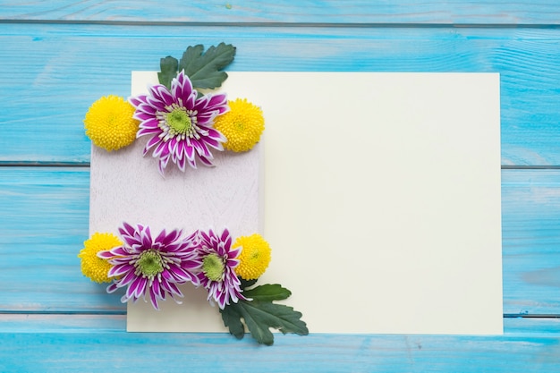 Chrysantheme blüht über dem leeren Papier auf blauem Holztisch