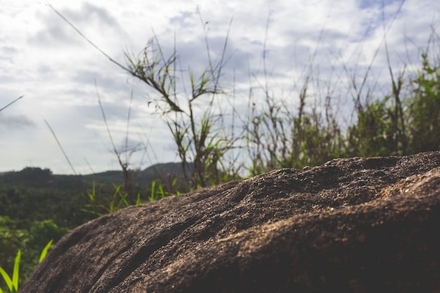 Close up Boulder mit Gras und einem Hügel im Hintergrund