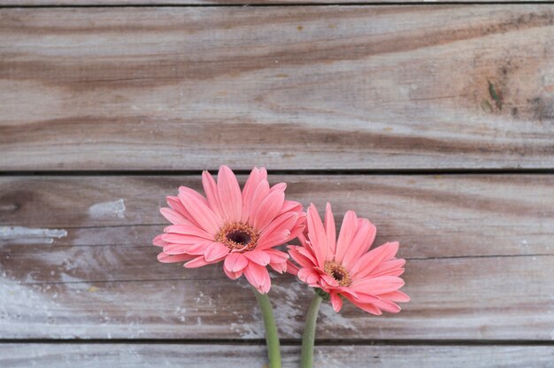 Close-up der schönen Blumen auf Holzuntergrund