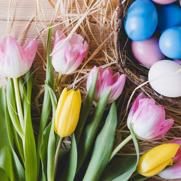 Kostenloses Foto close-up tulpen und eier