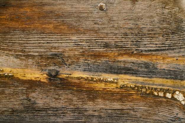 Close-up von einem Holzbrett mit Nägeln