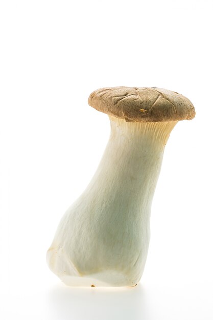 Close-up von frischen Pilzen