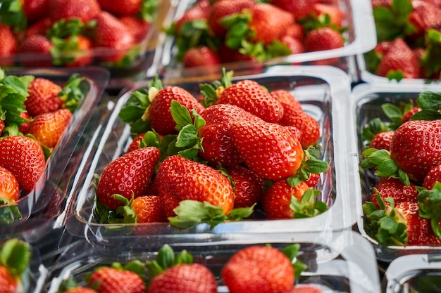 Close-up von leckeren Erdbeeren