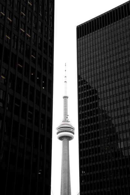 CN Turm zwischen gläsernen Wolkenkratzern