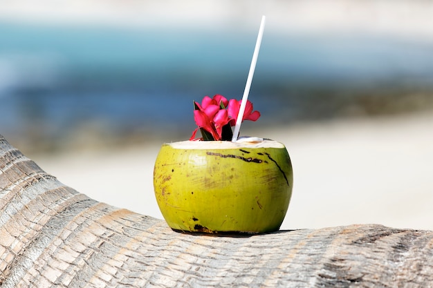 Cocktail mit Trinkhalm auf Palme am karibischen Strand