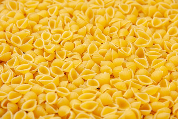 Conchiglie von unten stockfoto