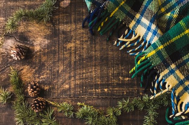 Conifer Kegel und Zweige in der Nähe von Decke