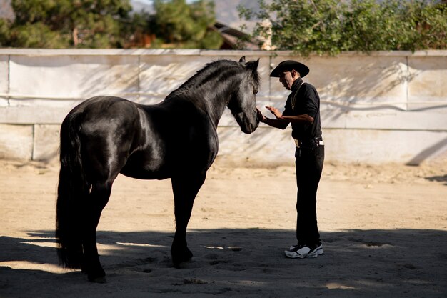 Cowboy-Silhouette mit Pferd gegen warmes Licht