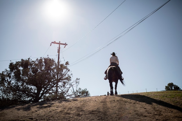 Kostenloses Foto cowboy-silhouette mit pferd gegen warmes licht