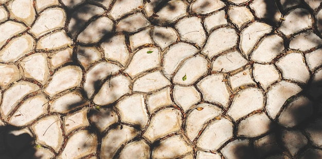 Cracked Pavement Fußweg Wandstil