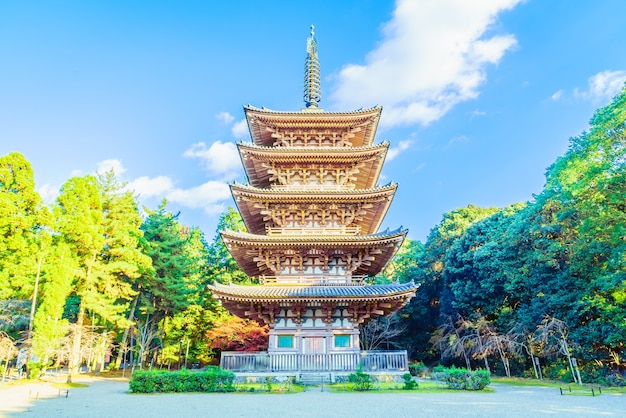 Kostenloses Foto daigoji temple