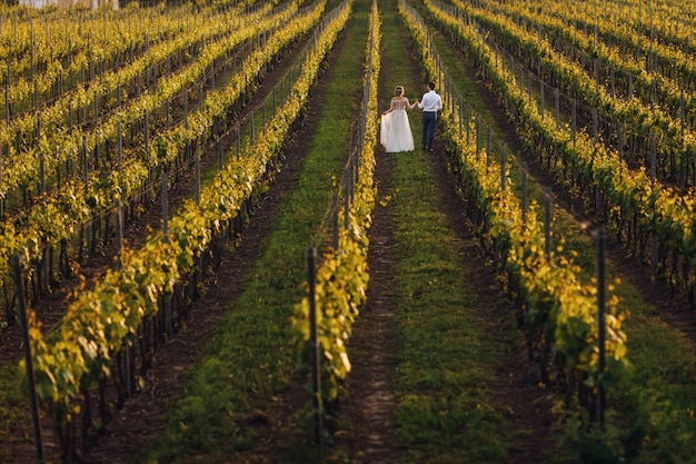 Das gehende reizende Hochzeitspaar in den Weinbergen