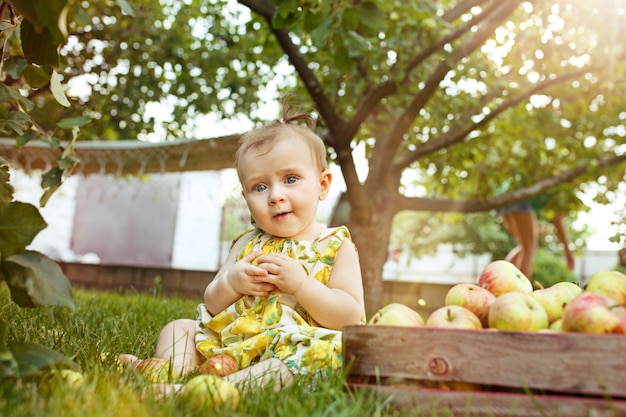 Das glückliche junge Baby beim Pflücken von Äpfeln in einem Garten im Freien