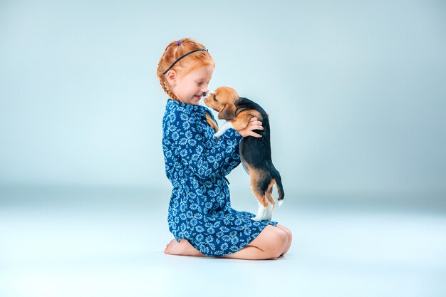 Das glückliche Mädchen und ein Beagle-Welpe auf grauer Wand