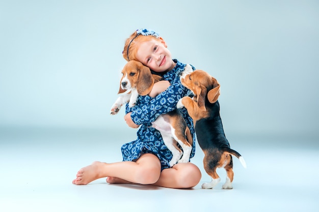 Das glückliche Mädchen und zwei Beagle-Welpen auf grauem Hintergrund