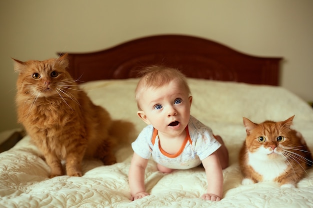 Das kleine Kind und die Katzen liegen auf dem Bett