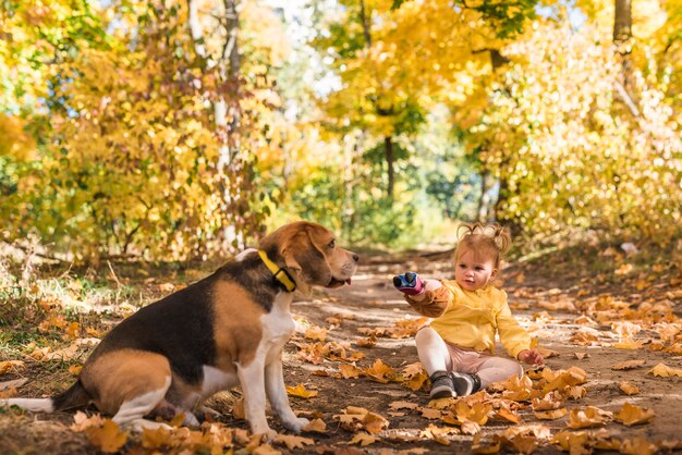 Das Mädchen, das mit ihrem Spürhundhund im Herbst sitzt, treibt am Wald Blätter