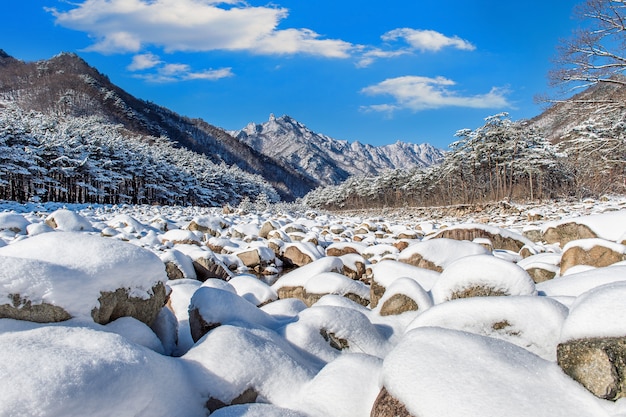 Das Seoraksan-Gebirge ist im Winter in Südkorea schneebedeckt