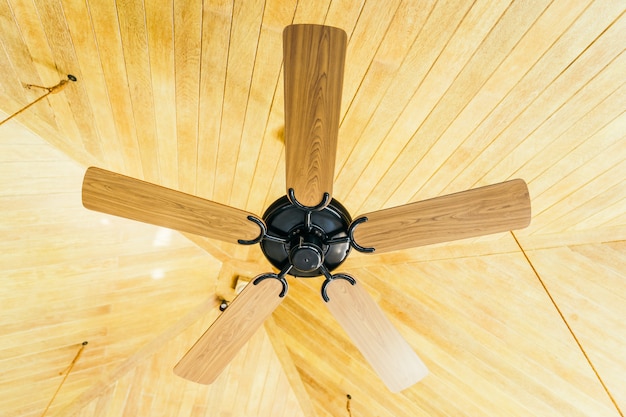 Deckenventilatordekorationsinnenraum des Raumes