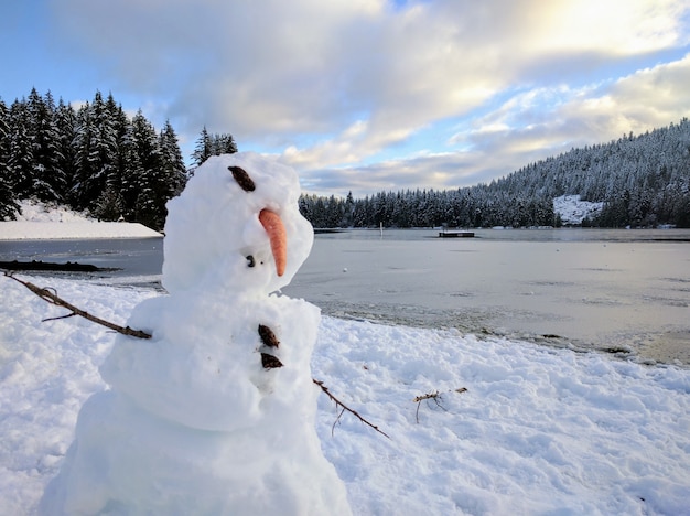 deformierter Schneemann mit einem zugefrorenen See