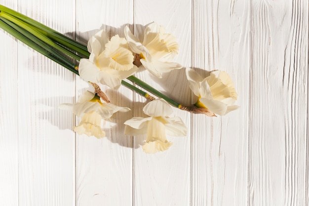 Dekorative Blumen mit hölzerner Beschaffenheit