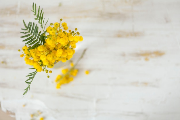 Kostenloses Foto dekorative blumen mit unscharfen hintergrund