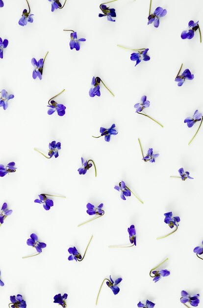 Dekorative Blumenmuster