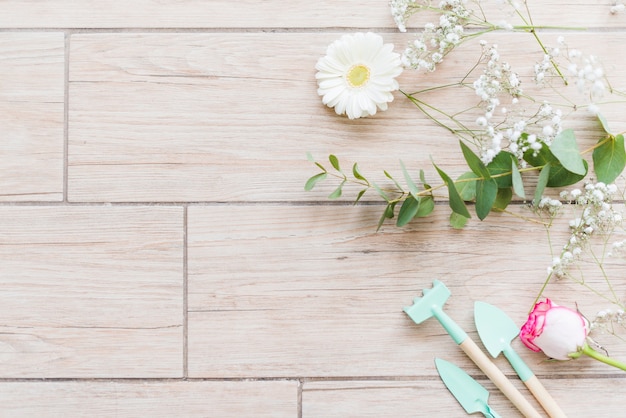 Kostenloses Foto dekorative bunte gänseblümchenblumen auf einem hintergrund