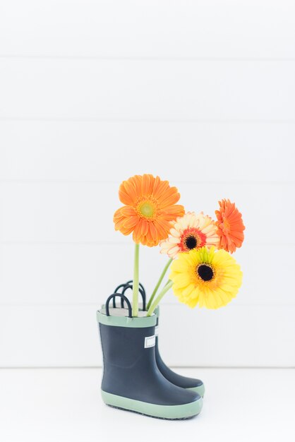 Dekorative bunte Gänseblümchenblumen in den Stiefeln