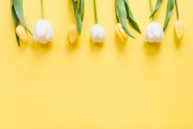 Dekorative bunte Tulpenblumen auf einem Hintergrund