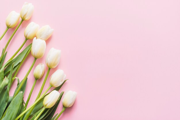 Dekorative Tulpenblumen auf einem bunten Hintergrund