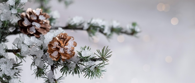 Kostenloses Foto dekoratives weihnachtsarrangement mit kopienraum