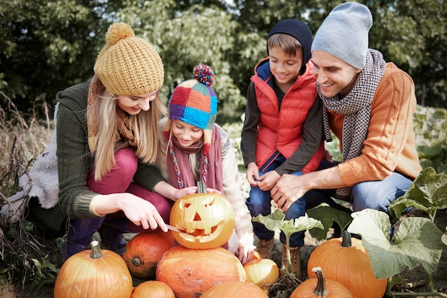 Den perfekten Kürbis für Halloween auswählen