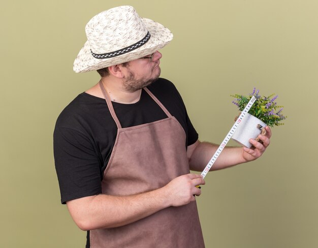 Denkender junger männlicher Gärtner, der Gartenhut trägt, der Blume im Blumentopf mit Maßband misst, das auf olivgrüner Wand lokalisiert wird