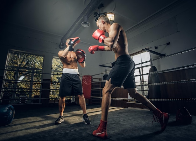 Der junge Boxtrainer und sein neuer Schüler trainieren im Boxring.