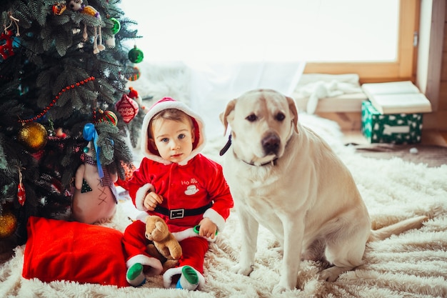 Der kleine Kinder- und Labrador-Hund, der nahe Weihnachtsbaum sitzt