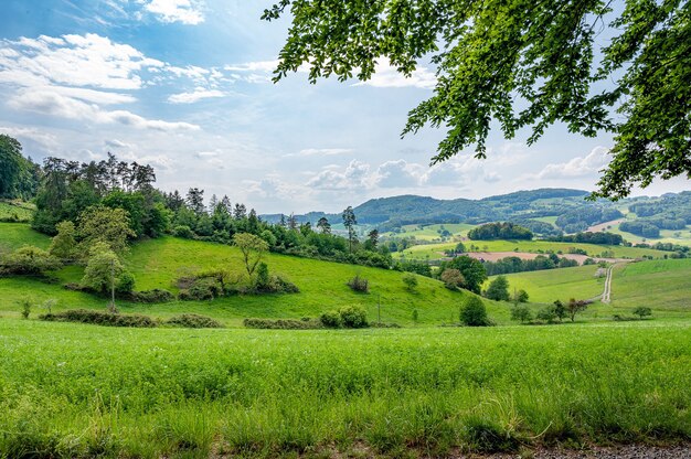 Der odenwald in deutschland ist reine natur