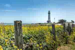 Kostenloses Foto der pigeon point lighthouse an der kalifornischen küste