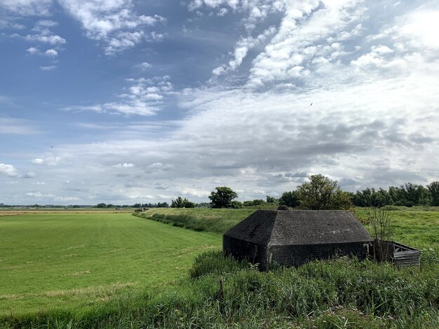 Deutscher Bunker, Kasematte in niederländischer Landschaft als Teil einer Verteidigungsmauer