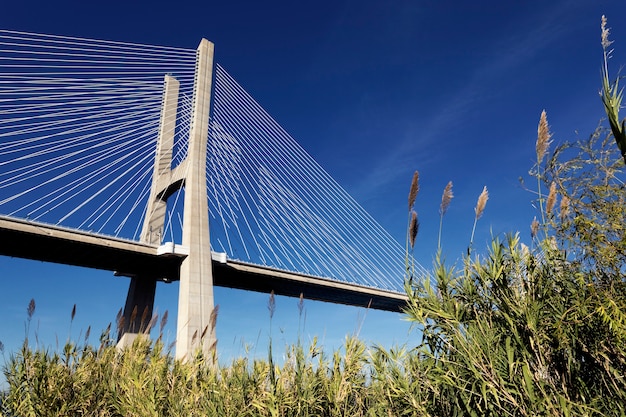 Kostenloses Foto die berühmte vasco da gama brücke in lissabon, portugal