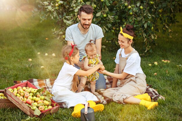 Die glückliche junge Familie beim Pflücken von Äpfeln in einem Garten im Freien