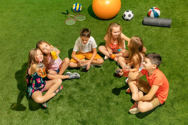 Die Gruppe von jugendlichen Jungen und Mädchen, die auf grünem Gras am Park sitzen