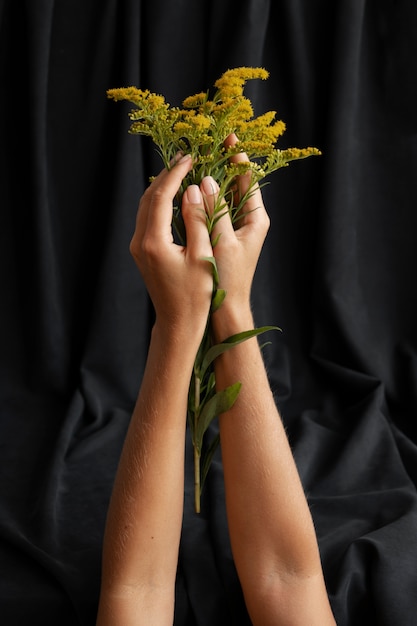 Die Hände der Frau, die gelbe Blumen halten