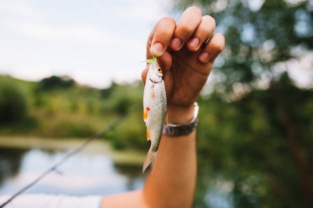 Die hand des fischers, die kürzlich gefangenen fisch hält