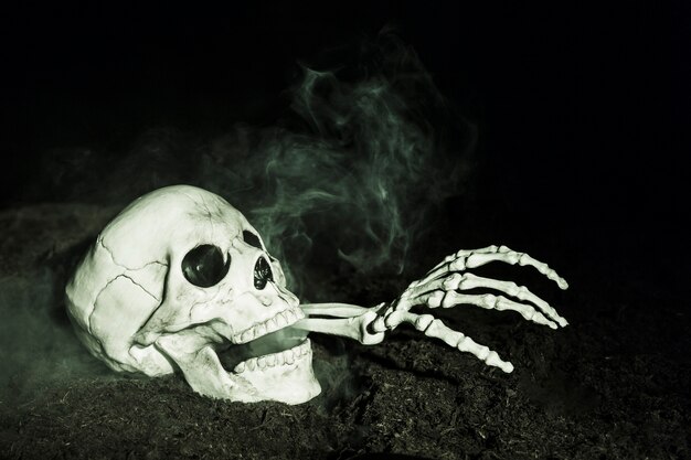 Die Hand des Skeletts, die aus dem Schädel heraus auf dem Boden haftet