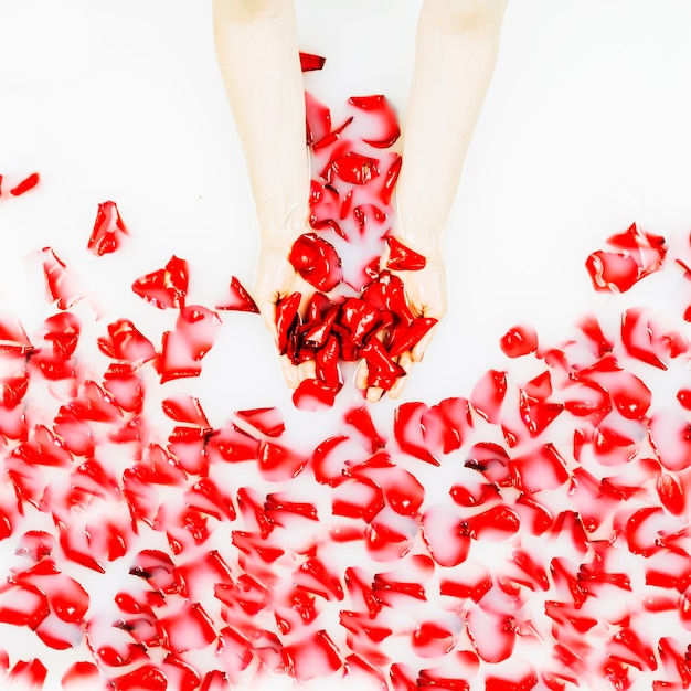 Die Hand einer Person, die rote Blumenblätter im Badewasser hält