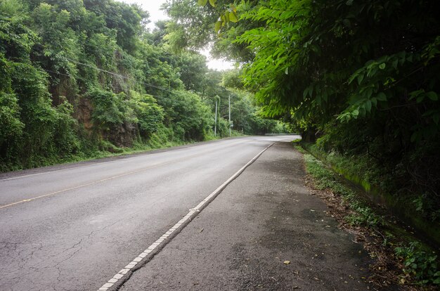 Die kurvige Straße ist vom Grün eines Waldes auf dem Land umgeben