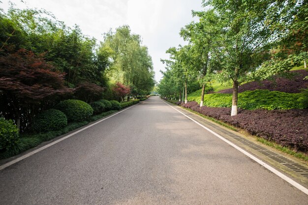 Die schöne Straße ist von viel Grün umgeben