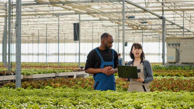 Diverse Biobauern verwalten mit Laptops Online-Bestellungen für ohne Pestizide angebauten Bio-Salat, während Kollegen Kisten bewegen. Mann und Frau, die einen tragbaren Computer verwenden und über die Landwirtschaft sprechen.