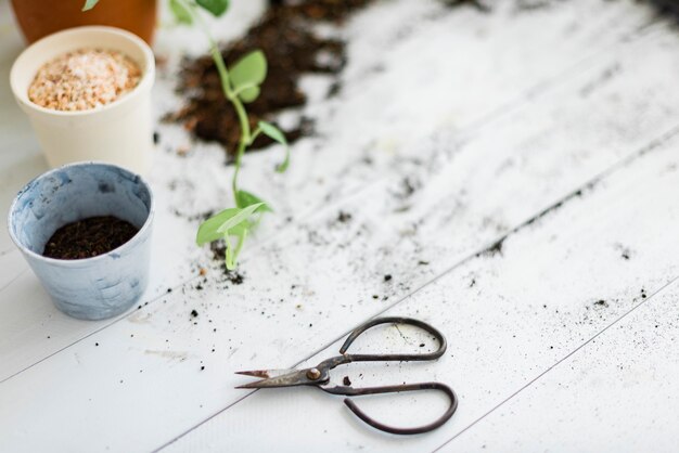 DIY Gartenschere auf verschmutztem Tisch mit Topfpflanzen